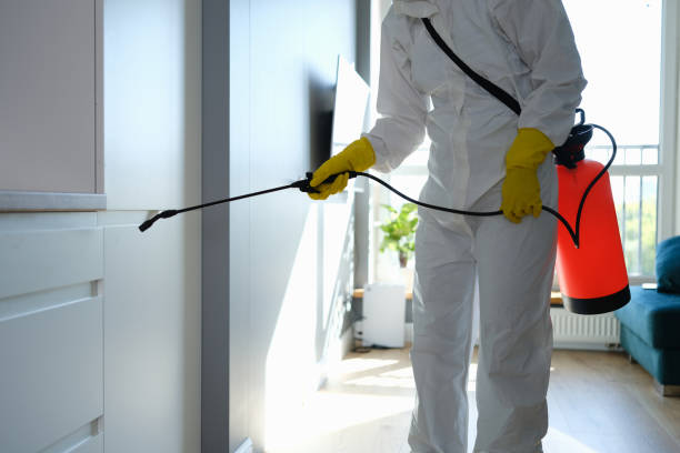 Best Mold Cleaning Services  in Brandywine, MD