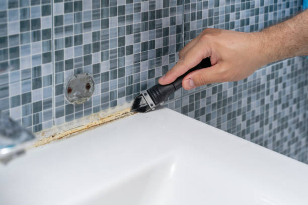 Best Mold Testing  in Brandywine, MD